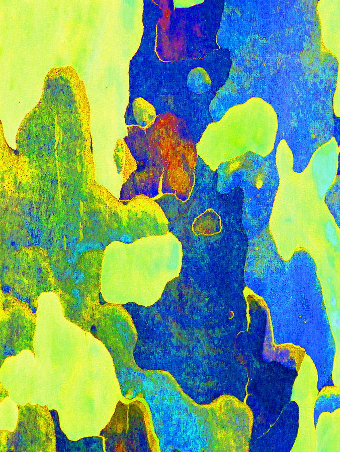 Summer Eucalypt Abstract 14 Photograph by Margaret Saheed