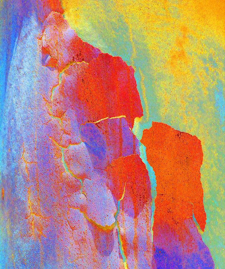 Summer Eucalypt Abstract 22 Photograph by Margaret Saheed