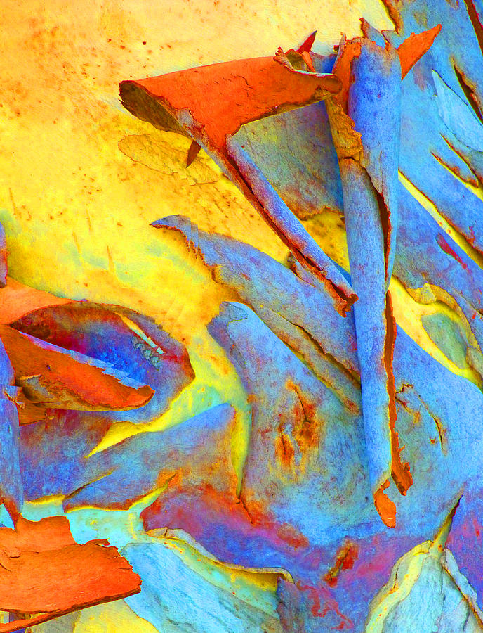 Summer Eucalypt Abstract 29 Photograph by Margaret Saheed