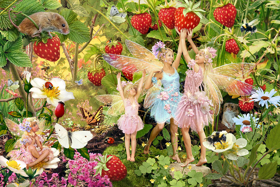 Summer Fairies Photograph by MGL Meiklejohn Graphics Licensing