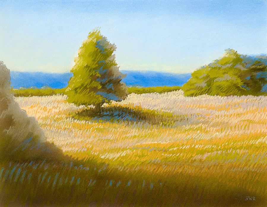 Landscape Pastel - Summer Field by Bruce Richardson Landscape Pastel - Summer Field by Bruce Richardson