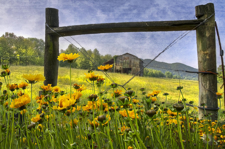 Barn Photograph - Summer Fields by Debra and Dave Vanderlaan