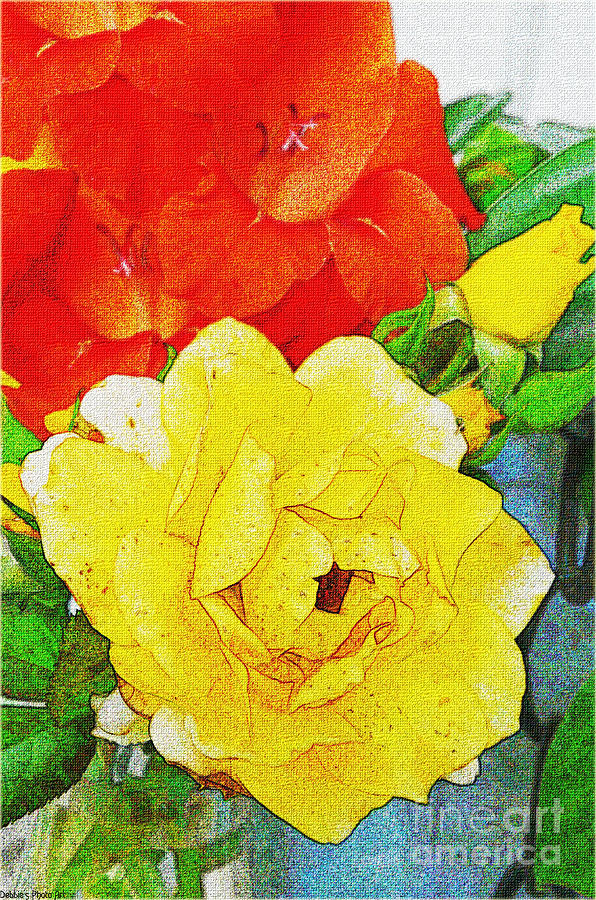 Summer Floral Photoart II Digital Art by Debbie Portwood