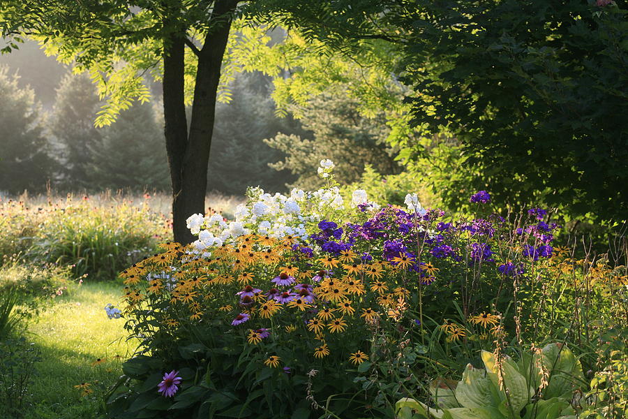 Summer Flower Adourn A Farm Garden Photograph by Ginn