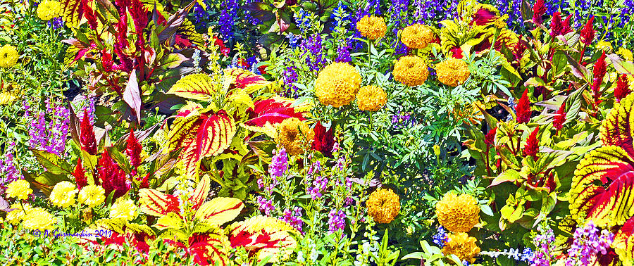 Summer Flower Garden Poster Print Photograph by A Macarthur Gurmankin