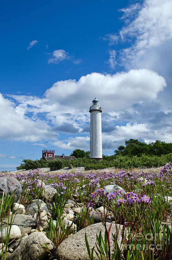 Architecture Photograph - Summer flowers at lighthouse by Kennerth and Birgitta Kullman
