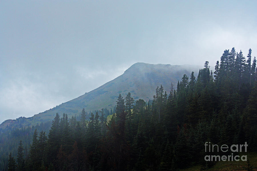 Mountain Photograph - Summer Fog in the Mountains by Lisa Porier