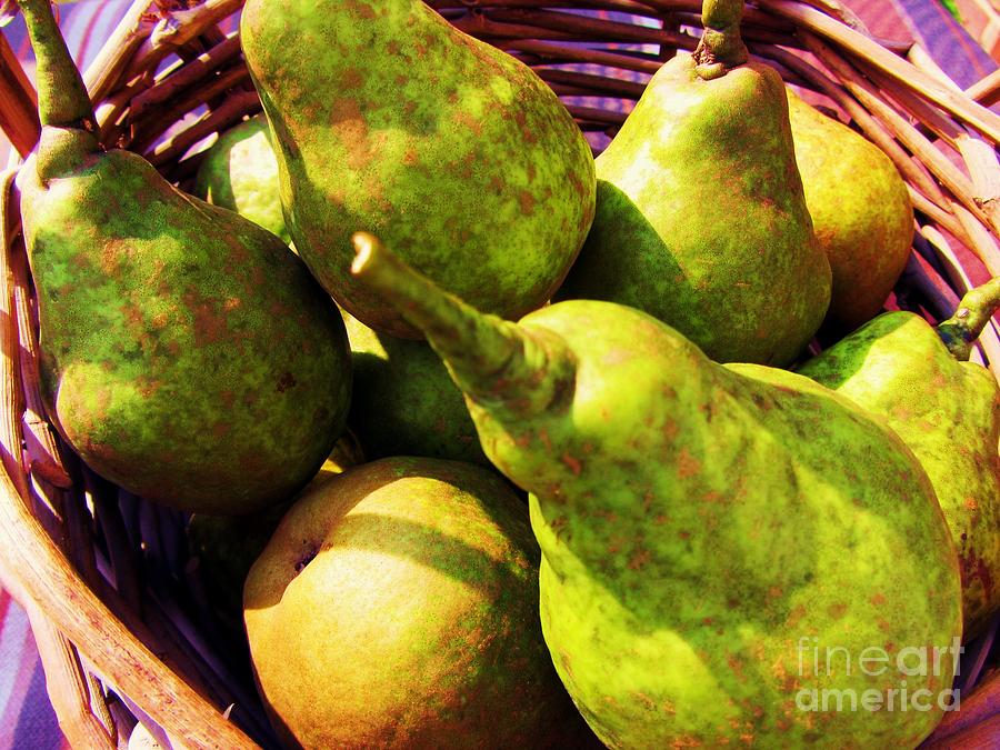 Summer Fruit Harvest - Organic Green Pears Photograph by Susan Carella