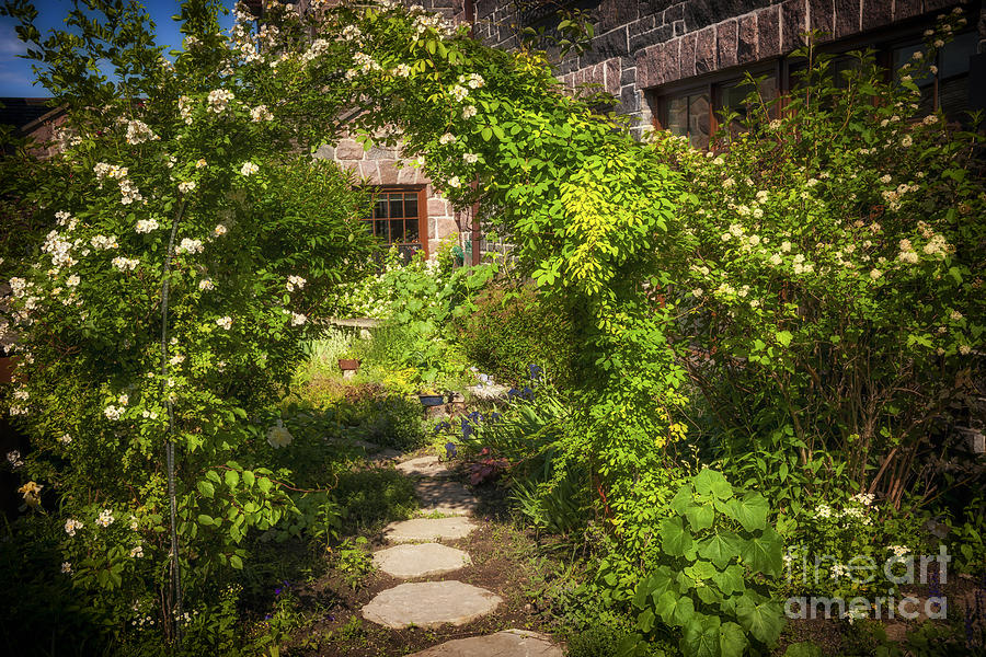 Summer garden and path 2 Photograph by Elena Elisseeva