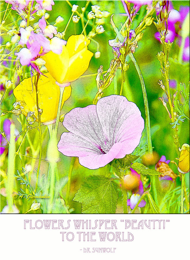 Summer Garden with Mallow Flower Photograph by A Macarthur Gurmankin