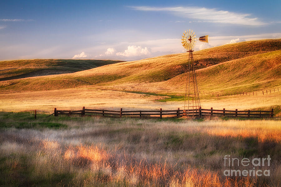 Summer Glow Photograph by Anthony Michael Bonafede