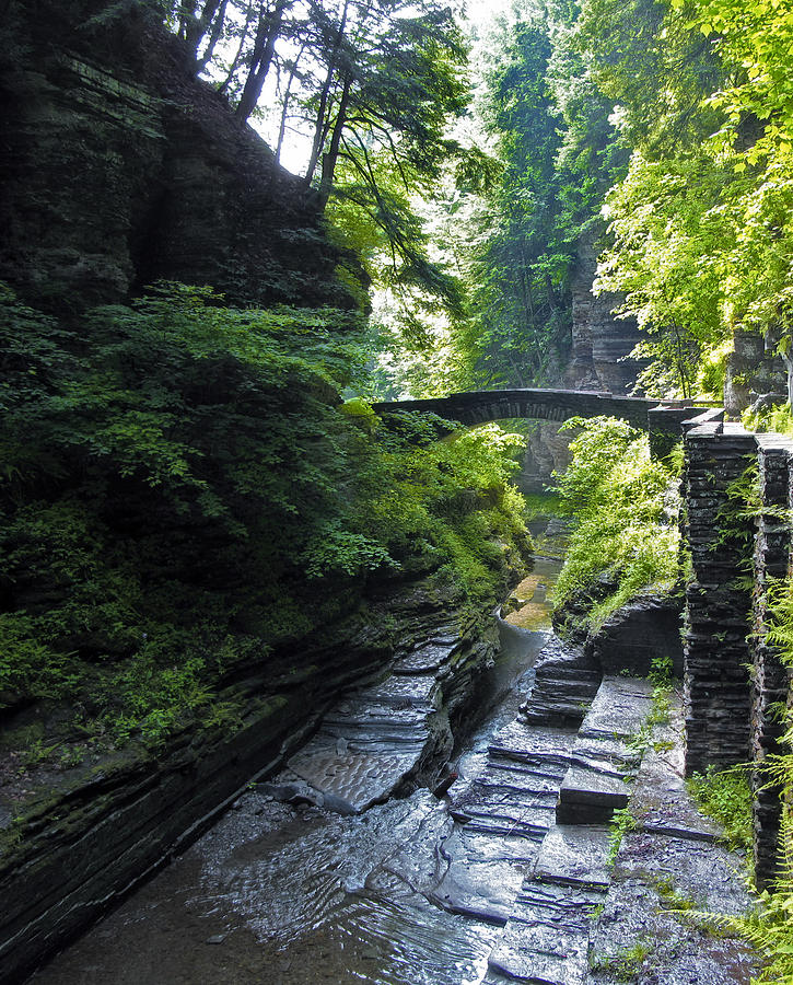 Summer Gorge Photograph by Jessica Jenney
