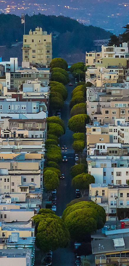 Summer Green on Lombard Street Photograph by Scott Campbell