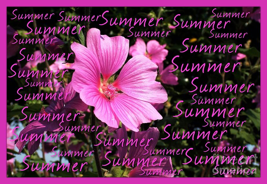 Summer Greetings Photograph by Joan-Violet Stretch