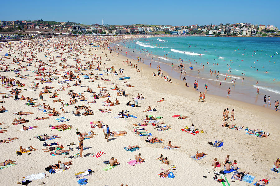 Summer Holiday Crowds On Bondi Beach by Oliver Strewe