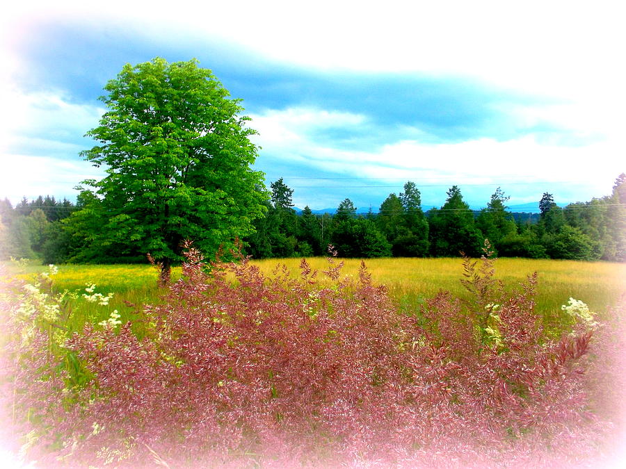 Summer Photograph - Summer Hues by Angel One