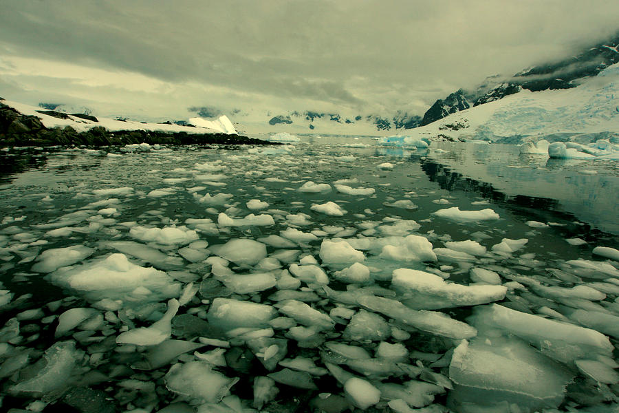 Summer Ice Photograph by Amanda Stadther
