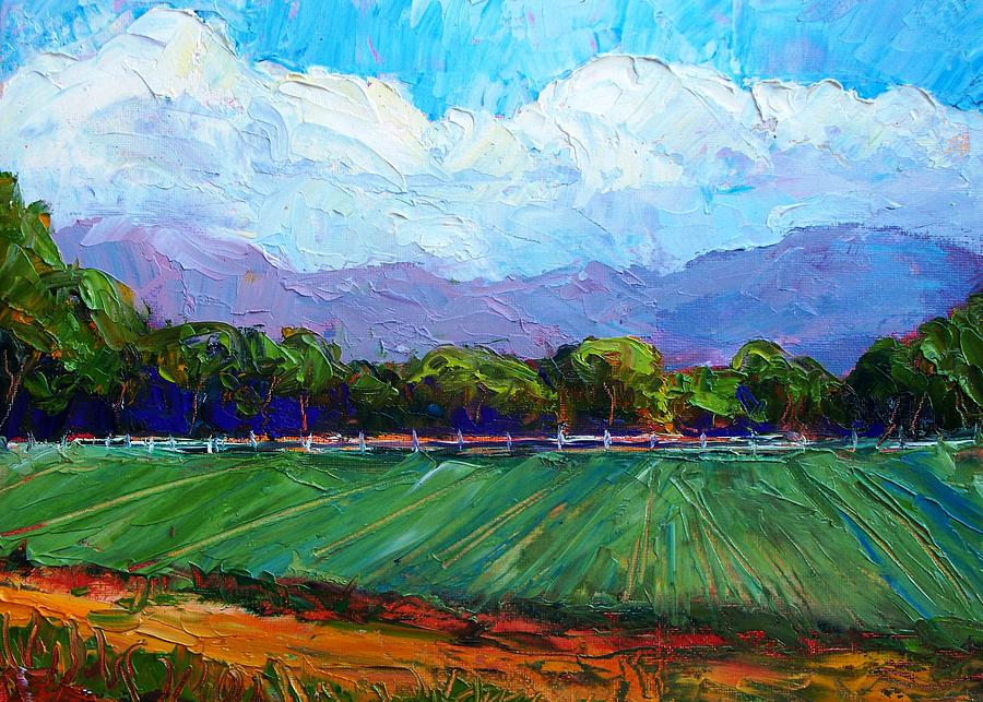 Summer in Albuquerque Painting by Marian Berg