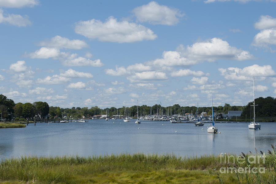Boat Photograph - Summer in New England by Juli Scalzi