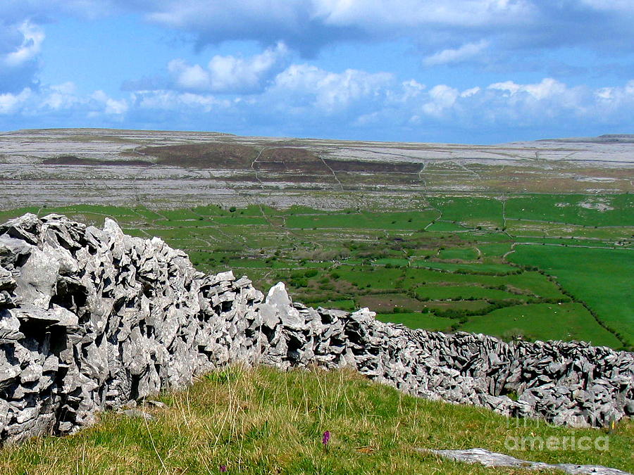 Summer in the Burren Photograph by Suzanne Oesterling