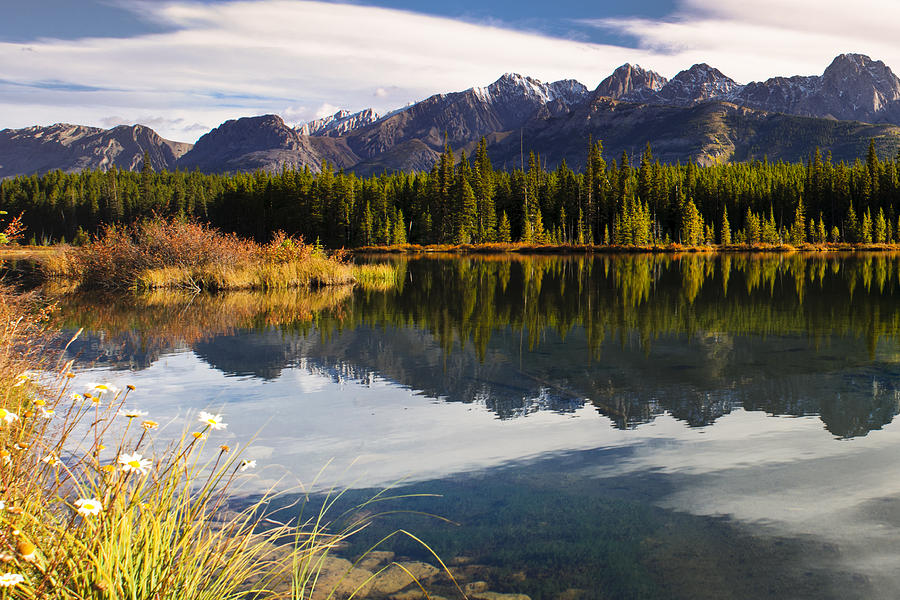 Summer in the Mountains Photograph by Brandon Smith - Fine Art America