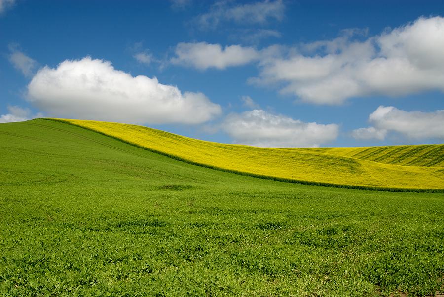 Summer in the Palouse Photograph by Brian Sears | Fine Art America