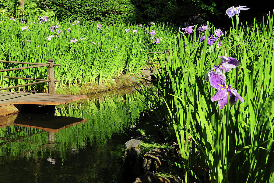 Summer In The Portland Japanese Garden Photograph by Michel Hersen Summer In The Portland Japanese Garden Photograph by Michel Hersen