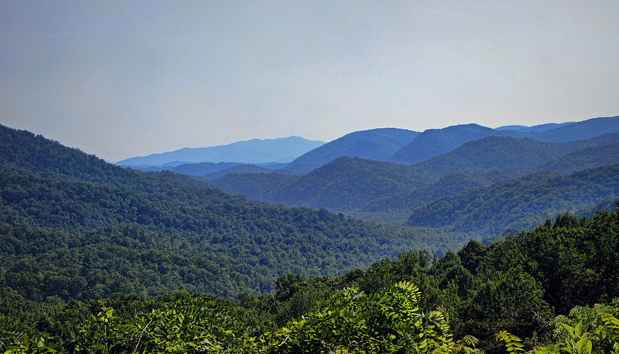 Summer in the Smokies Photograph by Cricket Hackmann