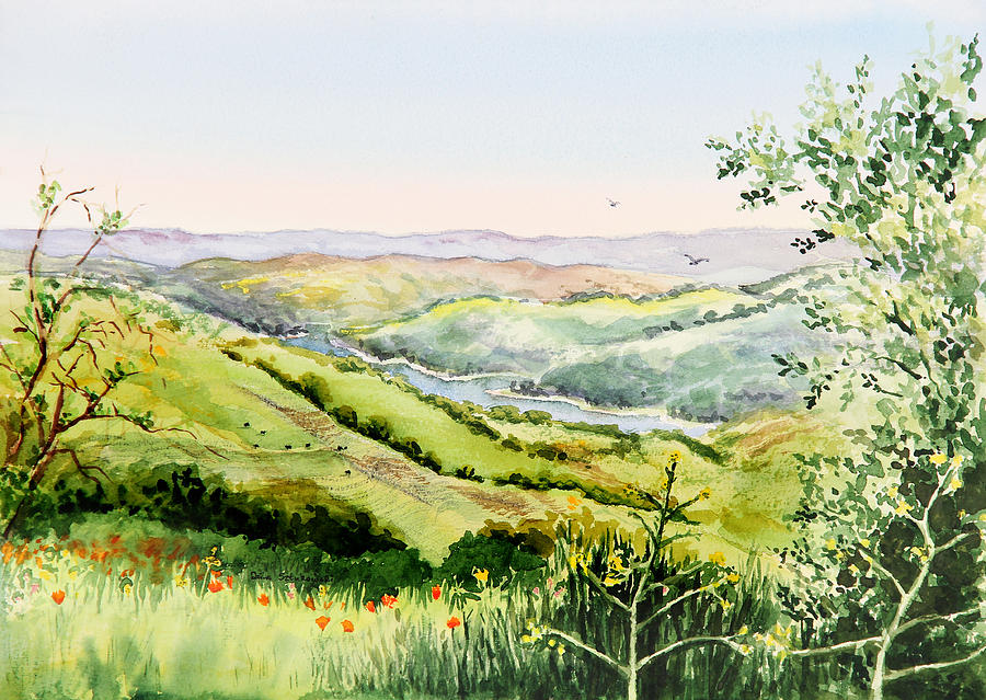 Tree Painting - Summer Landscape Inspiration Point Orinda California by Irina Sztukowski