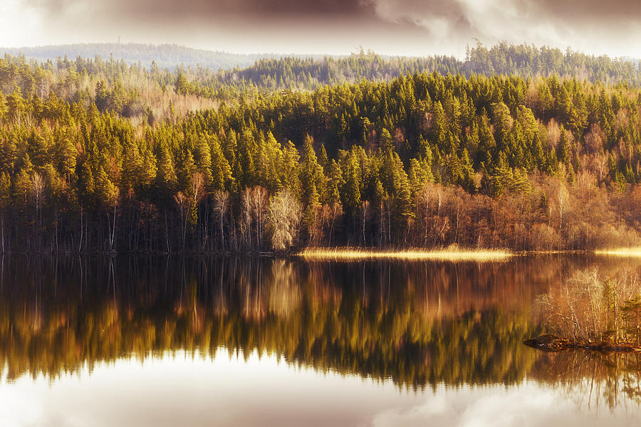 Summer Landscape Mirrored In Inland Lake Photograph by Christian Lagereek