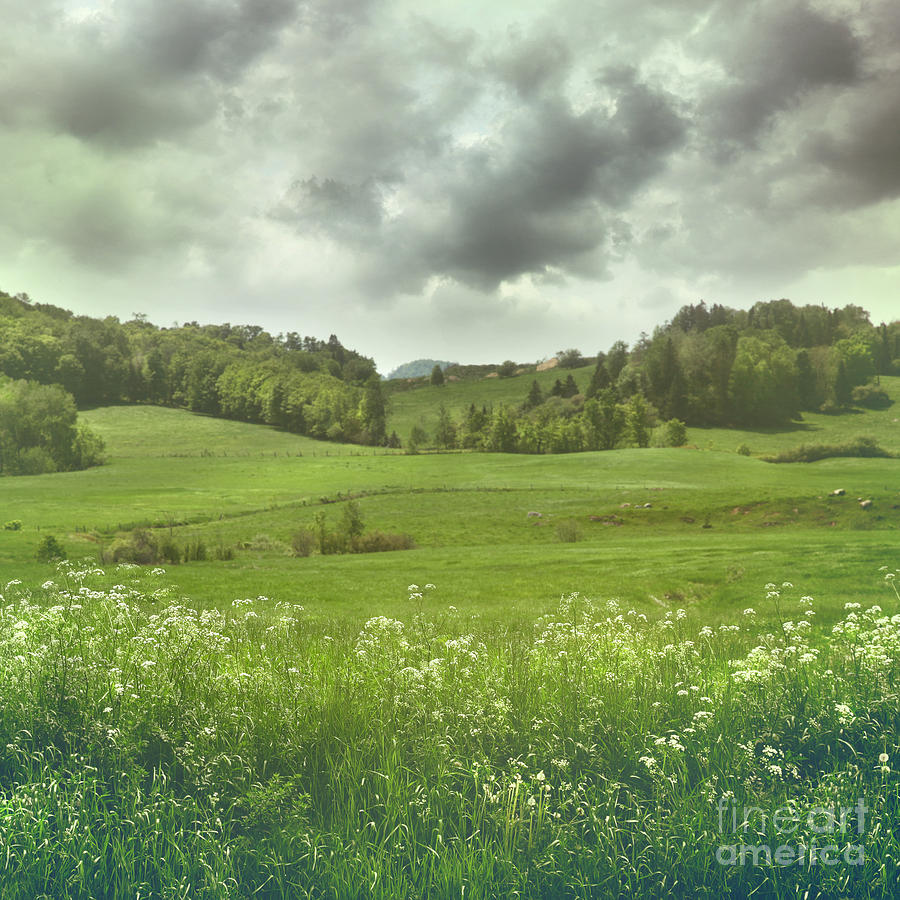 Summer landscape with vintage color filters Photograph by Sandra Cunningham
