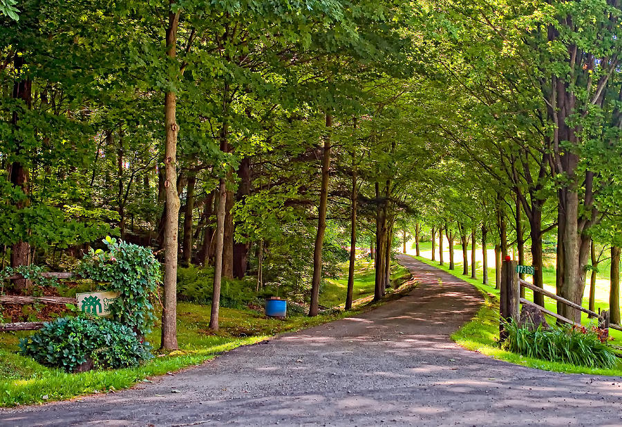 Summer Lane Photograph by Steve Harrington | Fine Art America