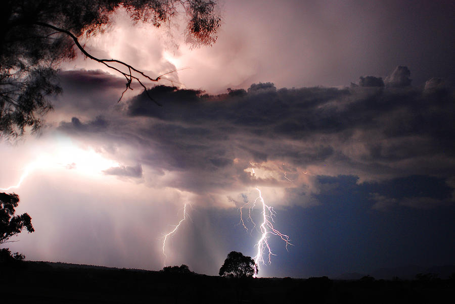Nature Photograph - Summer Lightning Bolts by Christopher Edmunds
