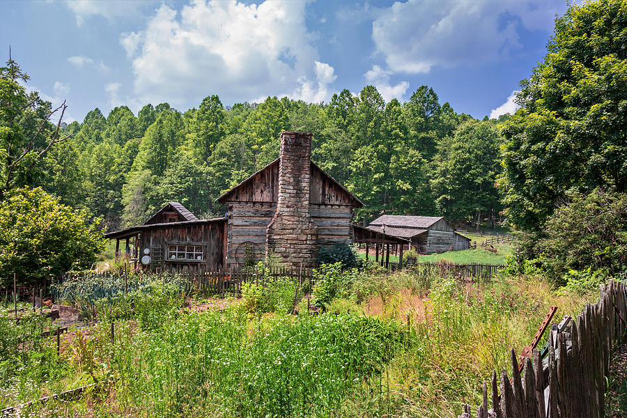 Summer Log Cabin Photograph by Mary Almond