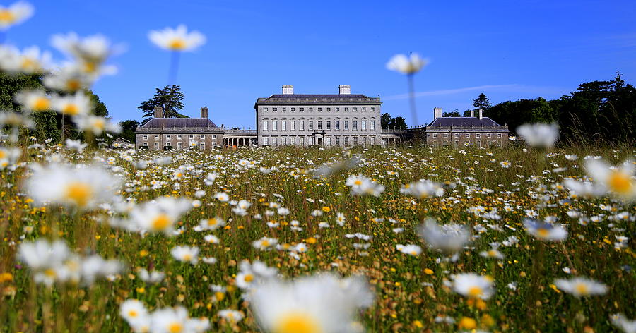 Summer Meadows Ireland Photograph by Dee Sweeney - Fine Art America