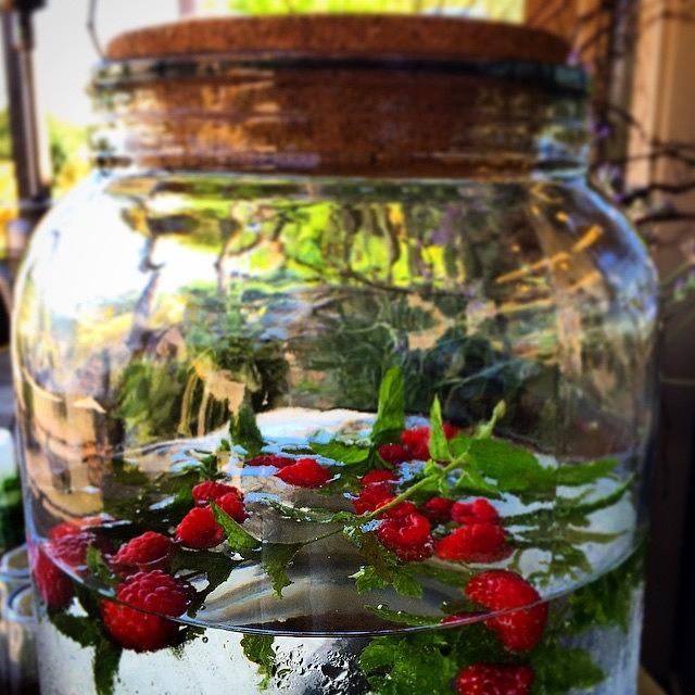 Raspberry Photograph - Summer Moment #raspberry #berries by Steven Shewach