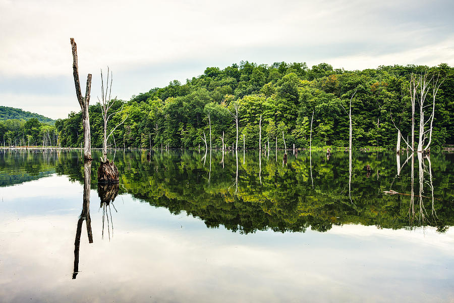 Summer Photograph - Summer Morning on Monksville Reservoir 2 by Gary Heller