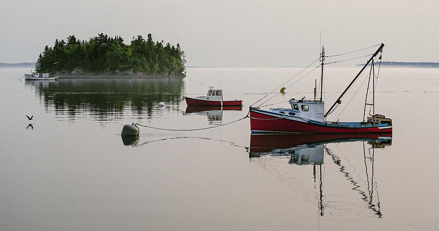 Summer Morning Stillness Photograph by Marty Saccone