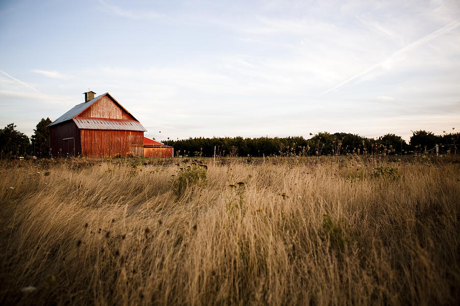 Summer night barn Photograph by Timnewman