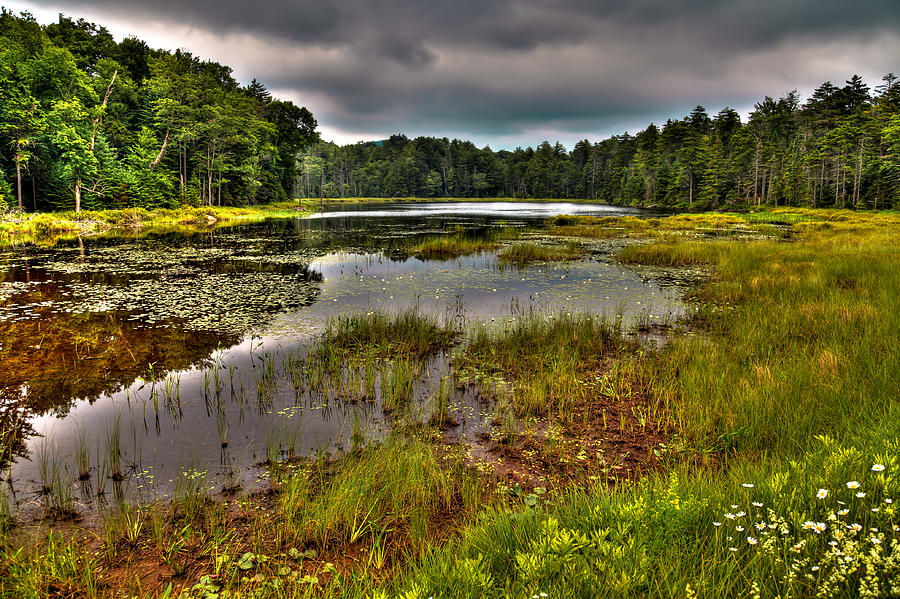 Summer on Fly Pond - Old Forge Photograph by David Patterson