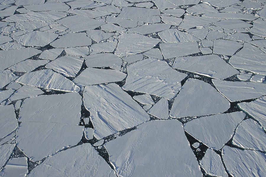 Summer Pack Ice Breaking Up Antarctica Photograph by Colin Monteath