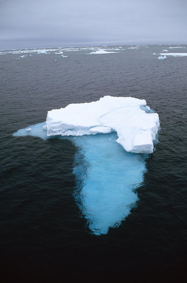 Summer Pack Ice Floating In Barents Sea Photograph by Tui De Roy