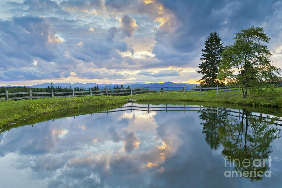 Summer Pond Reflection Photograph by Alan L Graham