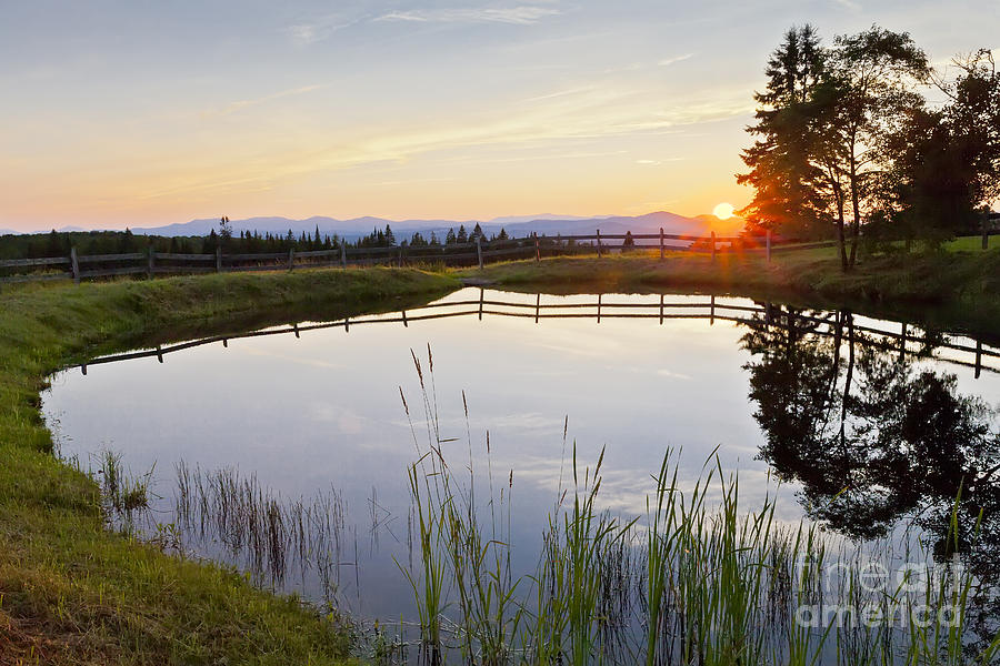 Summer Pond Sunset Photograph by Alan L Graham