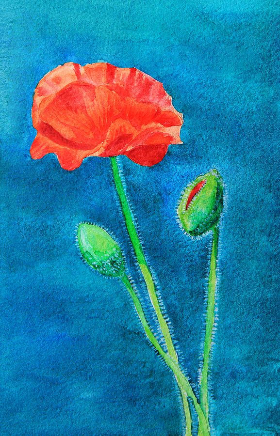 Poppy Painting - Summer Poppy by Masha Batkova