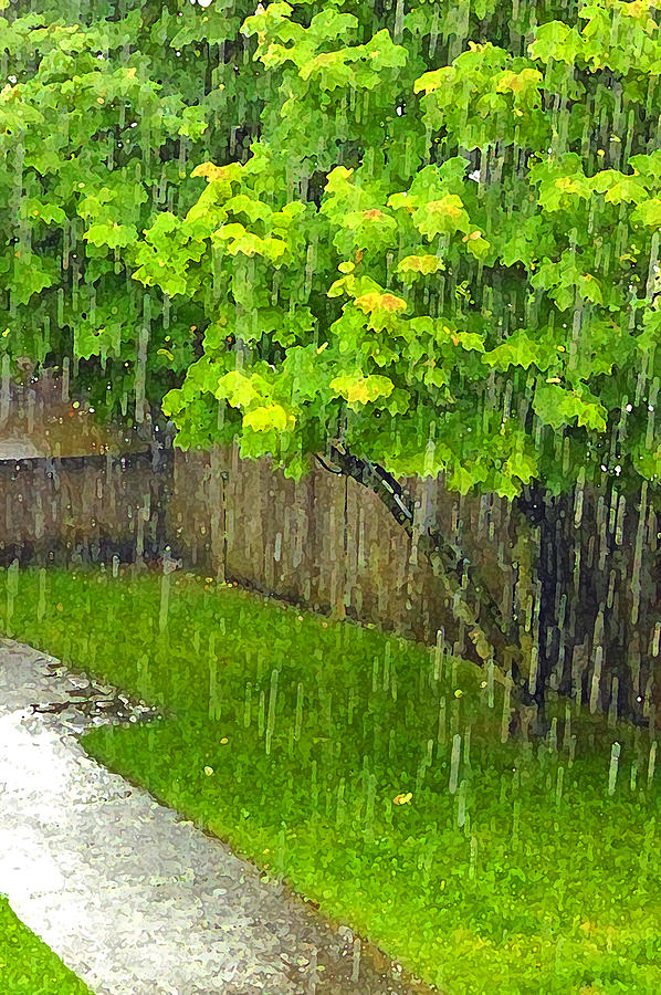 Summer Rain Artistic Photograph by Laurie Tsemak