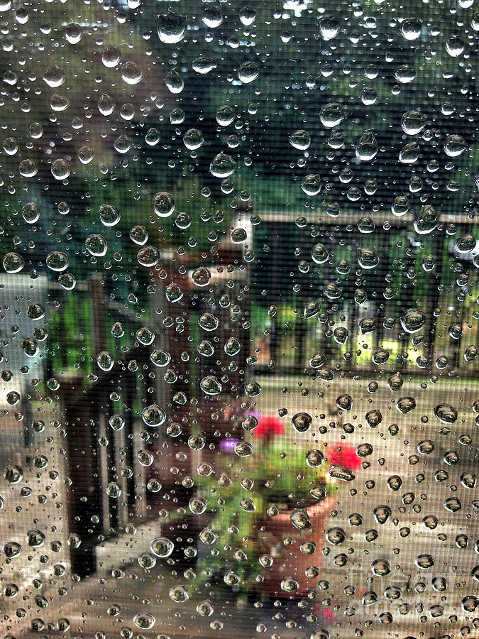 Summer Photograph - Summer Rain by HD Connelly