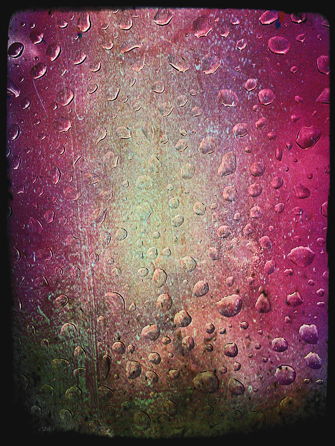 Summer Rain Photograph by Linda Sannuti