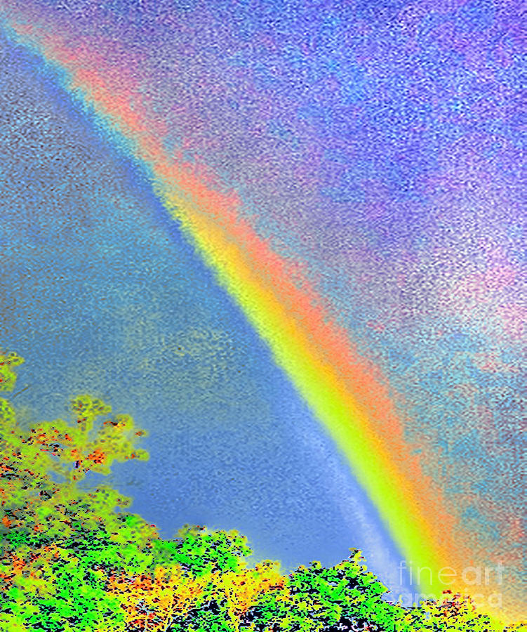 Summer Rainbow Photograph by Gayle Price Thomas Fine Art America