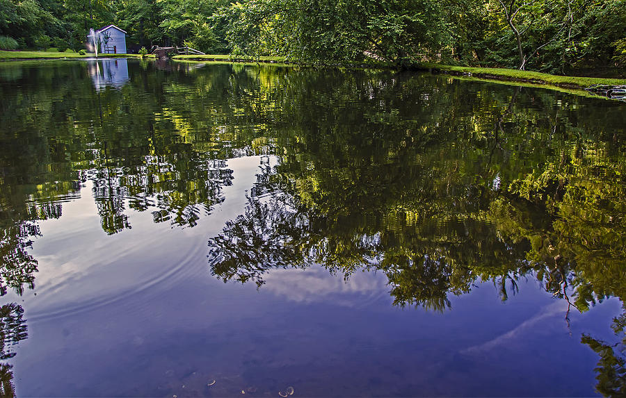 Summer Reflections on Whitaker Manor Pond  Photograph by Michael Whitaker